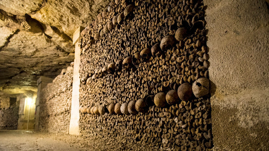The Mushroom That Conquered Paris: The Story of the Catacombs’ Stone Fungus