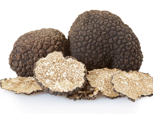 The Secret Lives of Truffles: Delving Into the World's Most Coveted Fungi